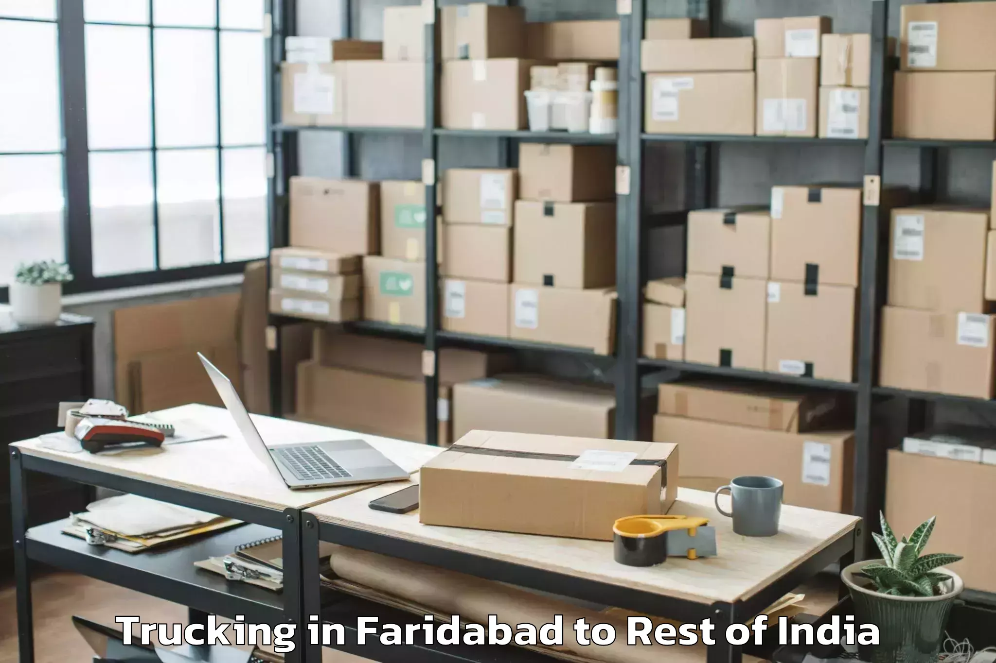 Reliable Faridabad to Abishekapatti Trucking